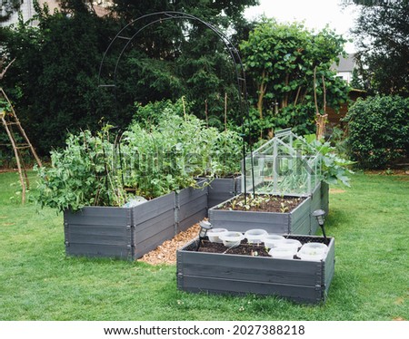 Garden with an area of raised vegetable beds and a cold frame in the center Royalty-Free Stock Photo #2027388218