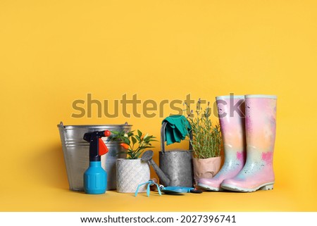 Gardening tools and houseplants on yellow background. Space for text