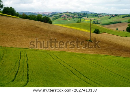 Rural landscape in Monferrato, Unesco World Heritage Site, near Calliano, Asti province, Piedmont, Italy. Vineyards
