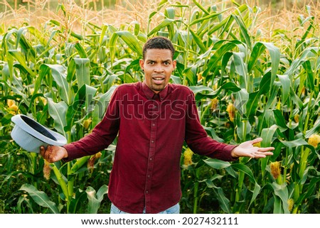 African American farmer looks at camera confused and puzzled. African farmer man in red shirt and hat in hand in corn field Royalty-Free Stock Photo #2027432111