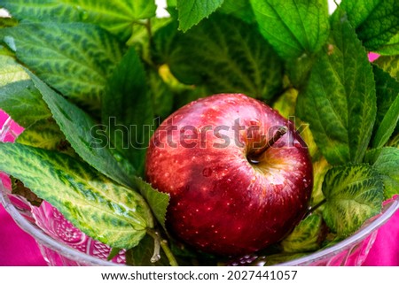 Stock photo of fresh juicy red organic apple kept in glass bowl decorated with green leaves, water drops on apple . Picture captured under bright sunlight at Bangalore Karnataka India.
