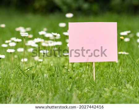 Rose paper sign on a meadow between grass and daisies. The surface of the banner is empty to add text.