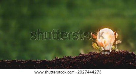 Light bulbs convey the concept of clean energy growth and business growth. Start up business concept, CSR concept Royalty-Free Stock Photo #2027444273