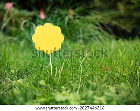 Yellow paper blossom on a meadow. The surface of the blossom is empty to add text.	
