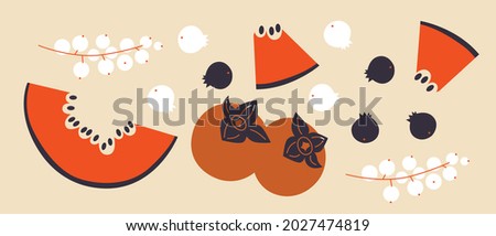 Flat cartoon fruit, berries illustration for web, design, package. Abstract flat fruit icon, for menu. Fresh healthy food, organic natural food isolated.