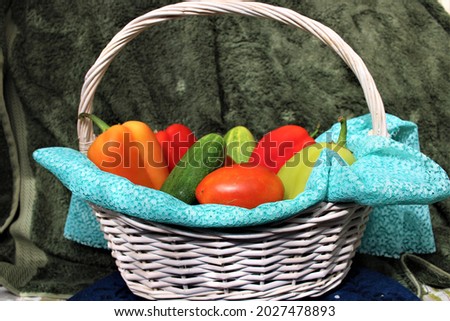 still life vegetables basket pepper tomatoes cucumbers fresh natural background background picture composition agriculture agriculture food food food close-up macro macro diet healthy