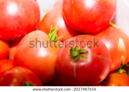 Delicious red tomatoes. Summer lotto. Market. Agriculture. Farm. Full of organic vegetables. It can be used as a background. (selective focus) 