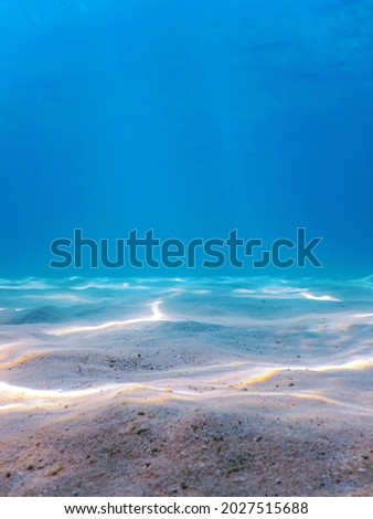 Sandy sea bottom Marine life, Underwater background Royalty-Free Stock Photo #2027515688