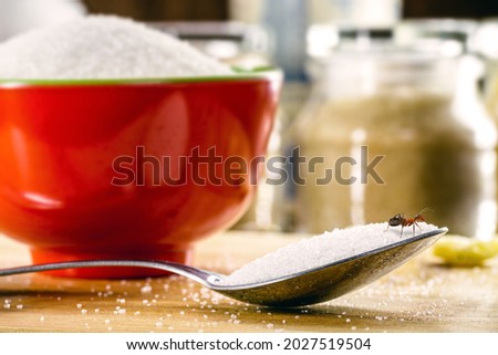 ant over sugar spoon, ant alone in the kitchen, mixer ant