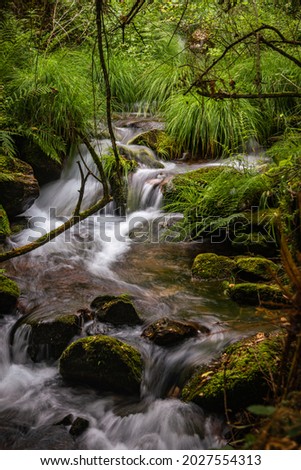 Beautiful water stream in Gresso river Portugal. Long exposure smooth effect. Scenic landscape with beautiful mountain creek with green water among lush foliage in forest.