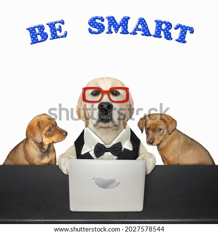 A dog labrador in glasses with its puppies are sitting near a laptop. Be smart. White background. Isolated.