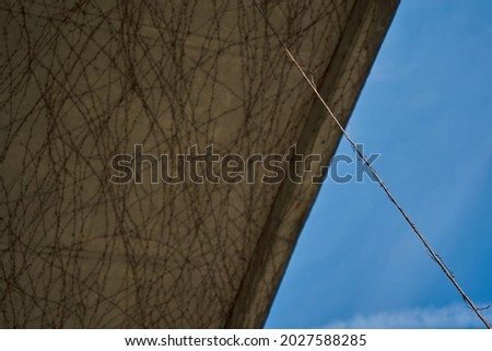 Long part of a climbing plant hangs down from a traffic bridge. Blue sky in the background. Up view.