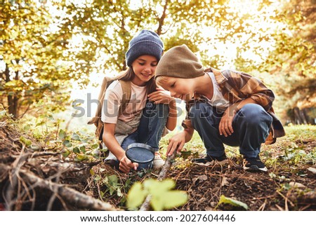 Two children boy and girl in warm hats with backpacks looking examining tree bark through magnifying glass while exploring forest nature and environment on sunny day during outdoor ecology school less Royalty-Free Stock Photo #2027604446