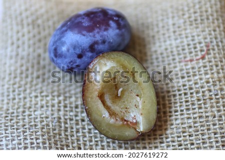 Organic ripe plum with a worm inside. Larva of Plum fruit moth - Grapholita (sometimes Cydia) funebrana in plum fruit. Close up, selective focus Royalty-Free Stock Photo #2027619272