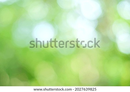 green and white color blur background