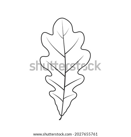 Vector oak leaf. Autumn leaf. Black line illustration.