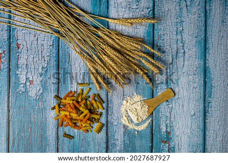 Top view image of pasta, branches of ears of wheat and wooden spoon with wheat flour on blue table