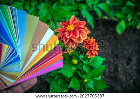 Paper layout with different colors of the film on the background of a red flower in the garden. Color selection according to the color scheme.