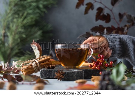 A woman holds a mug of delicious freshly brewed tea in her hand. The concept of autumn time Royalty-Free Stock Photo #2027712344