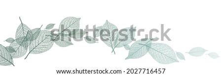 Beautiful background with leaves vein. Vector illustration. Royalty-Free Stock Photo #2027716457