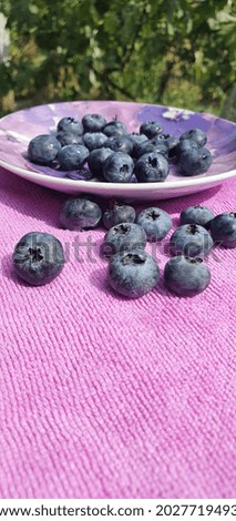 Beautiful berry composition. Appetizing blueberry. Purple berry background. Purple background. Fresh berries. 
