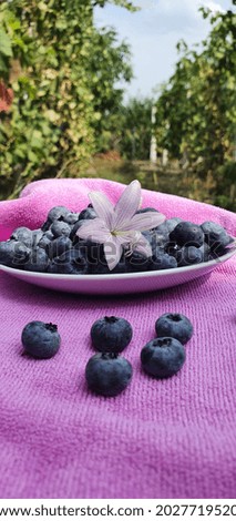 Beautiful berry composition. Appetizing blueberry. Purple berry background. Purple background. Fresh berries. 