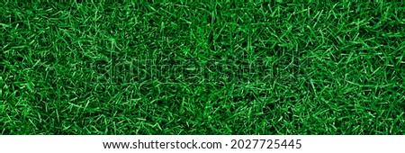 Banner texture of green grass for the background. Green lawn pattern and textured background. The top view of the herb garden is an ideal concept used to make a green floor covering. 