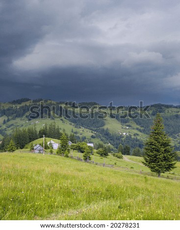 Summer mountain view with high fir tree. Two shots composite picture.