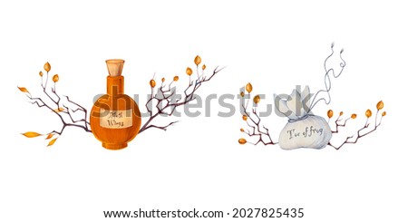 Watercolor hand drawn Halloween illustration with poison in a flask, bag with toe of frog, branch, autumn leaves, orange hawthorn berries isolated on white background.