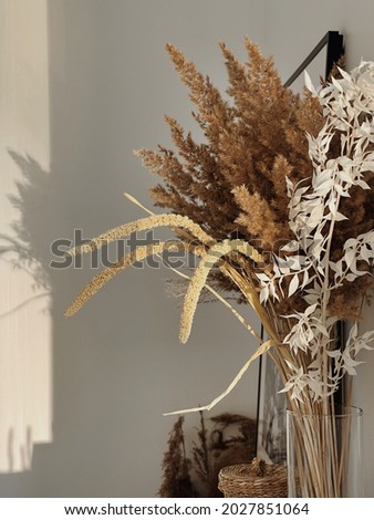 Aesthetic minimal office workspace interior design. Pampas grass floral bouquet on white table against white wall. Shadows on the wall. Silhouette in sun light. Minimal interior decoration concept