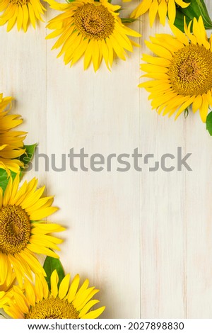 Frame made of Yellow sunflowers on white wooden background top view copy space. Beautiful fresh sunflowers, yellow flowers bouquet. Harvest time, farming Agriculture autumn or summer floral background