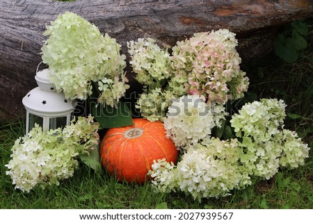 Autumn garden decoration with bunches of hydrangea,orange color pumpkin and white garden lantern. Old wooden log as a background.
