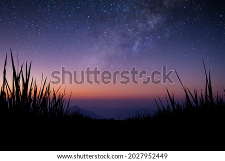Silhouette of the beautiful view the meadow at night sky has a view of the mountains, stars and the Milky Way over the mountains in the background.