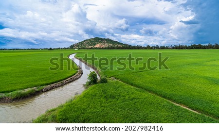 Rice paddy at the Nui Sam Mountain in Chau Doc, An Giang, the highest mountain in Mekong Delta