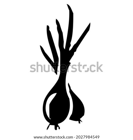 Onion, bulbous vegetable, plant, food, vector, illustration in black and white color, isolated on white background Royalty-Free Stock Photo #2027984549