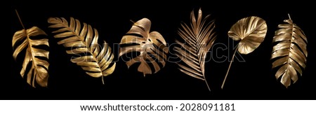 Tropical leaves gold and black, can be used as background(Monstera,palm,coconut)fernclipping path Royalty-Free Stock Photo #2028091181