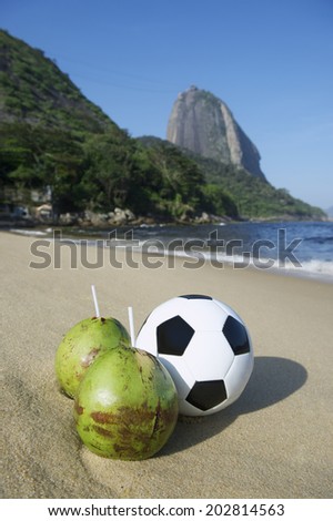Football soccer ball standing next to fresh green drinking coconuts coco gelado Red Beach Sugarloaf Mountain Rio de Janeiro Brazil