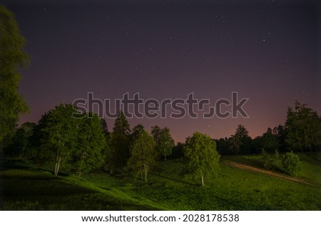 Nature of Russia: night landscape of the park called Prioratskiy.  Gatchina, Leningrad region