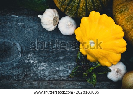 Frame of gardening organic vegetables, buttercup squash, pumpkins, garlic and spices on wooden rustic board, top view with copyspace.