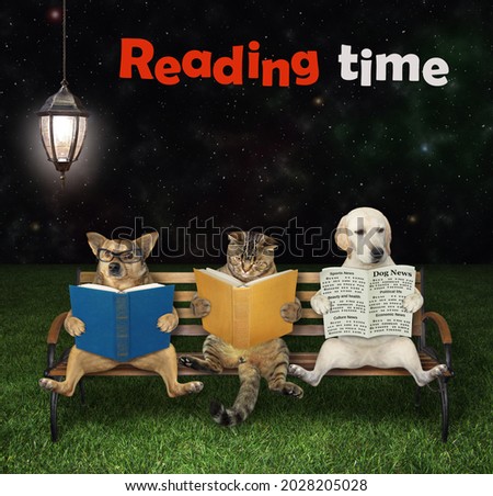Pets sit on a bench and read under a street lamp in the park at night. Reading time.