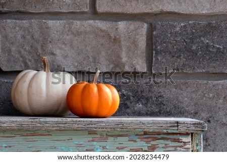 Decorative white and orange pumpkins create a colourful halloween and thanksgiving background.