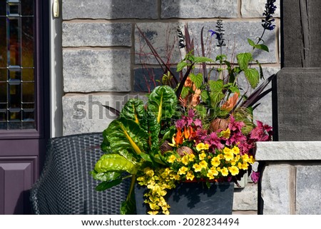 Container gardening with bright colours and ornamental kale create a beautiful thanksgiving flower arrangement.
