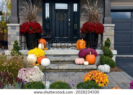 Colourful pumpkins, gourds and mums create a luxury halloween and thanksgiving landscaping decor. Royalty-Free Stock Photo #2028234500