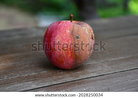 An apple affected by the disease, on a brown wooden surface. A sick spoiled apple in close-up. Fruit rot (moniliosis) of fruit trees. One half of the apple looks healthy, the other half looks rotten. Royalty-Free Stock Photo #2028250034