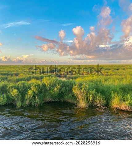 A Louisiana Lake with Lush Green Marsh Grass and Purple Wildflowers Under A Blue Sky with High and Low Clouds