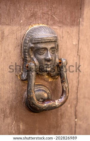 Decorative Gilded Lion Head Door Knob Lion Head Brass Door