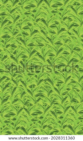Realistic yellow-green grass, lawn background - Vector illustration