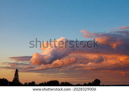 A cloud that looks like a crocodile or a dragon is illuminated in orange by the setting sun, sky line with spruce trees. Horizontal Royalty-Free Stock Photo #2028329006