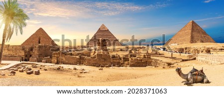 Egypt Pyramids and Sphinx panorama behind the palm with a camel lying by, Cairo, Giza Royalty-Free Stock Photo #2028371063