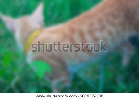 defocused abstract background of cat playing on the grass